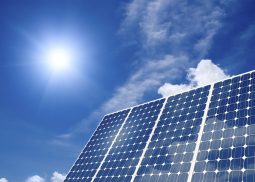 Solar panel harness energy of the sun